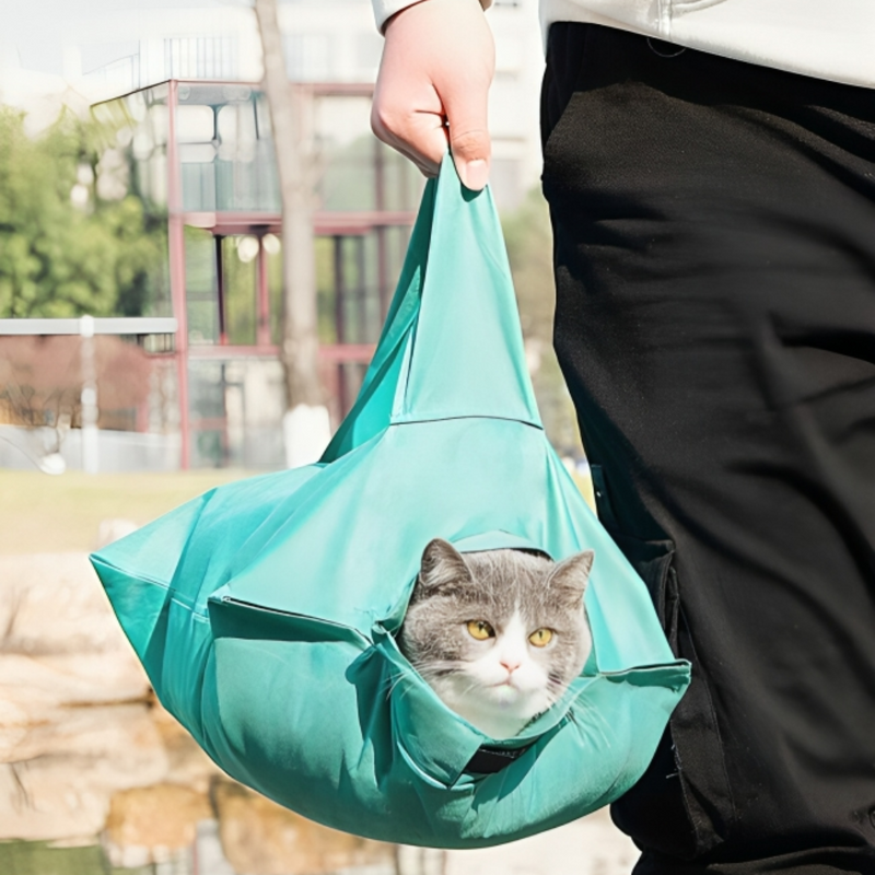 The PurrFect Cat Carrier